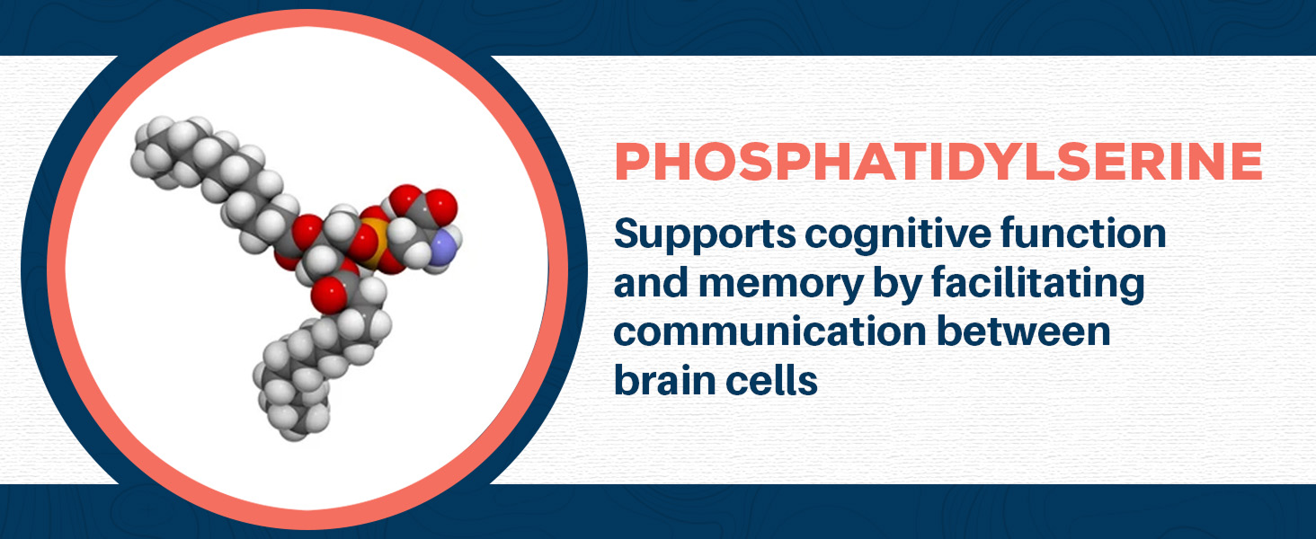fosfatidilserina 300mg 100mg ps 500mg powder iso phos phosphorus supplements phosphatidylcholine