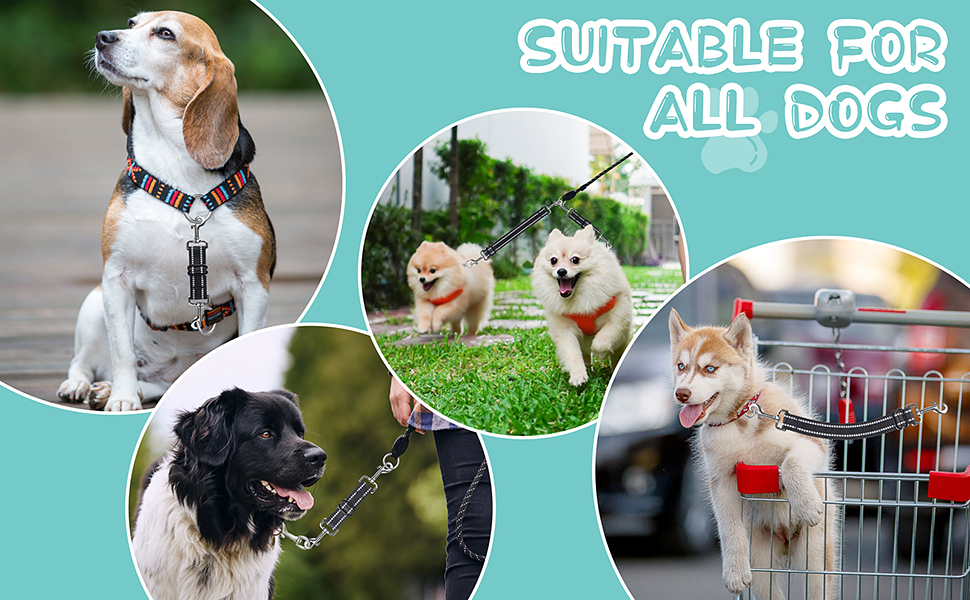 Dog Collar Clips, 2 Pcs Dog Collar Connector, Double Ended Clip Strap