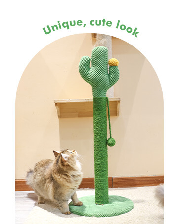Tall Cat Scratching Post for Indoor Cats 83cm Cactus Cat Scratch Post Large Scratch Posts For Adult Cats Sisal Rope Covered Cat Post With Ball Sturdy Claw Scratcher Stable Base Heavy Duty 33inch 9 b17b575a 95bb 4f87 b5ee 5debbb9974f3. CR0,0,362,453 PT0 SX362 V1