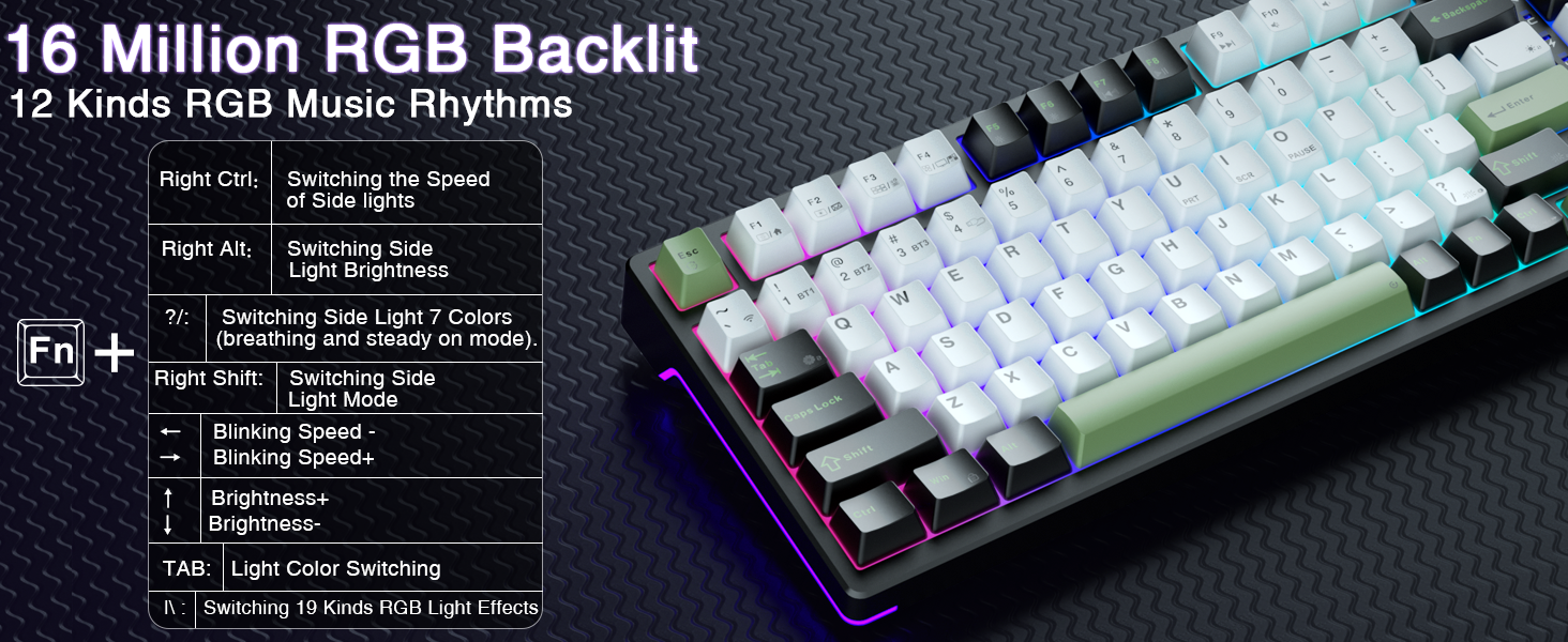 RGB Backlit