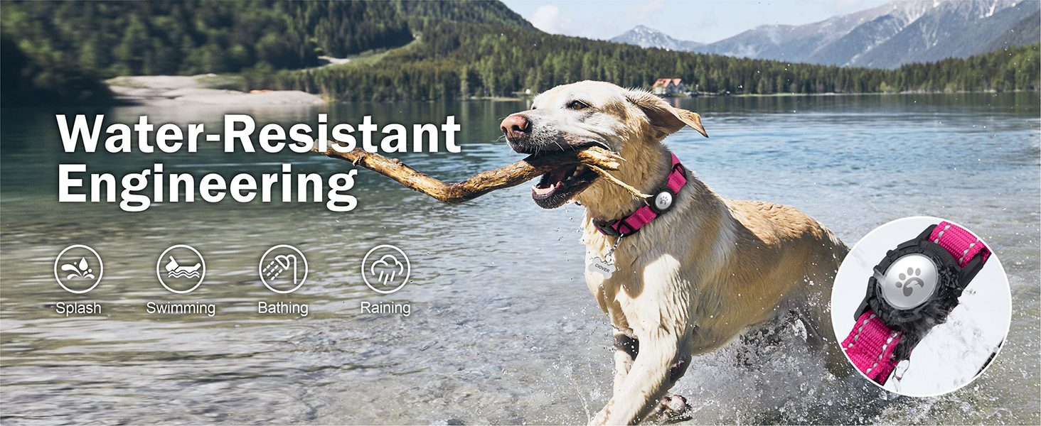 airtag dog collar