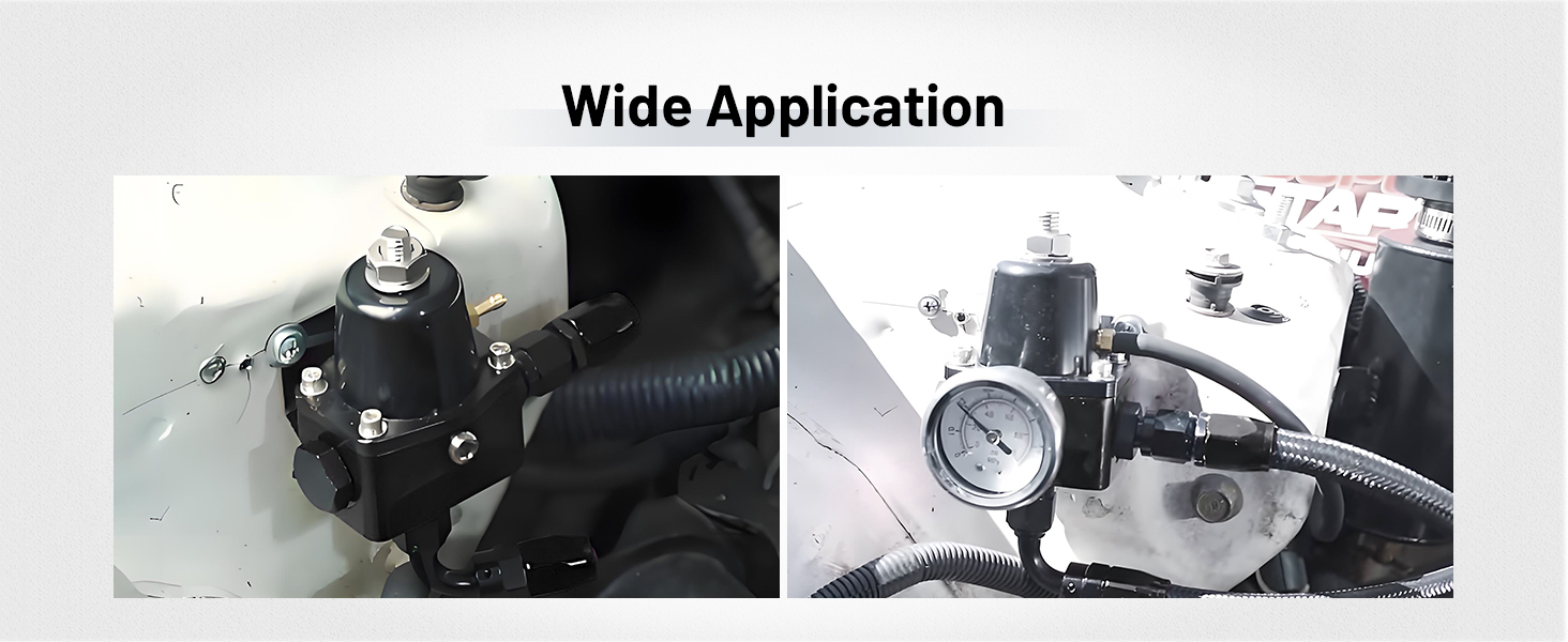 fuel pressure regulator