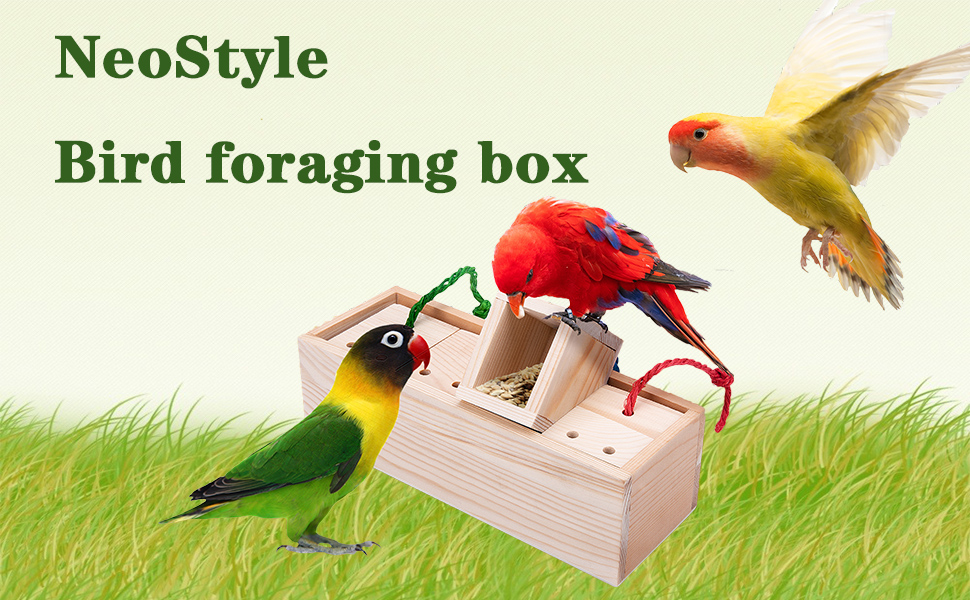 bird toys