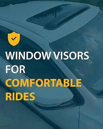 Custom fit Window Visor