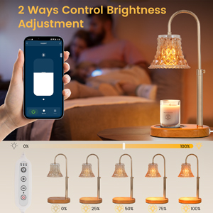 Electric Candle Warmer