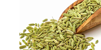 Vicco Vajradanti Fennel Flavour Herbal Toothpaste - Pack of 3 (200g Each)