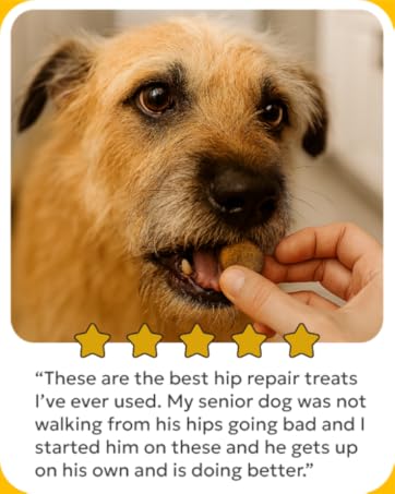 These are best hip repair