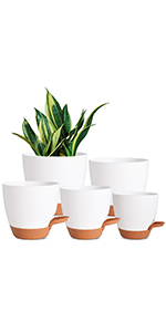 plant pots