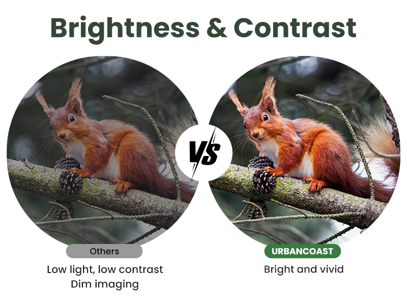 Brightness & Contrast
