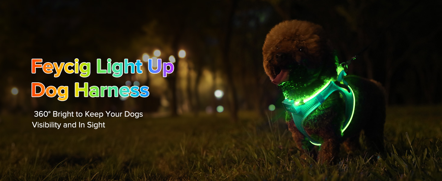 light up dog harness