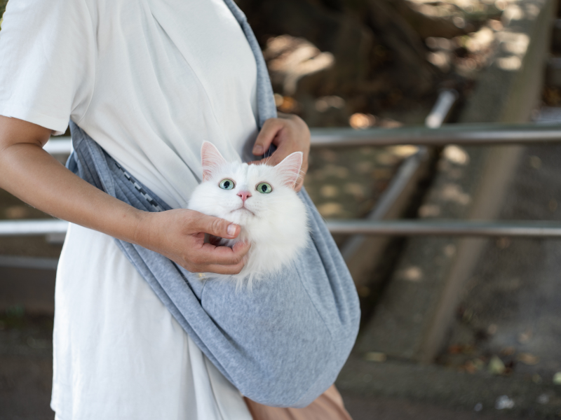 Amazon.co.jp: CLOGRATIA 猫 抱っこ紐 スリング 抱っこ袋 ペット