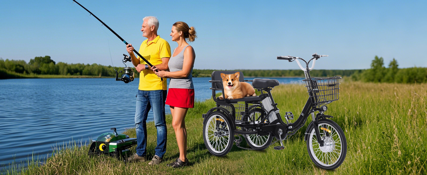 adult tricycle electric