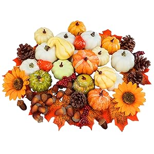 Winlyn Assorted Harvest and Baby Boo Pumpkins and Gourd