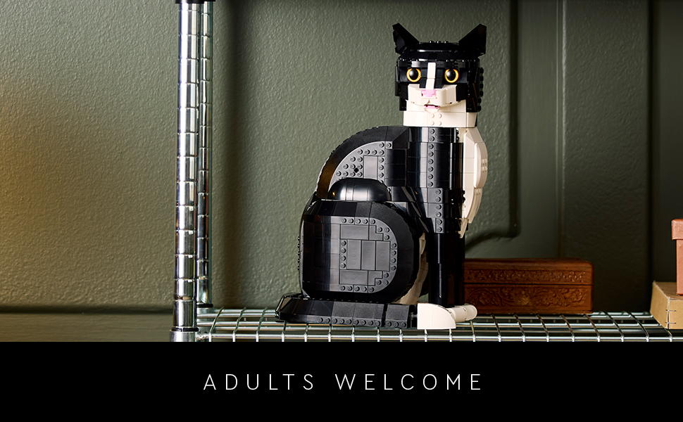 21349_أفكار ليغو