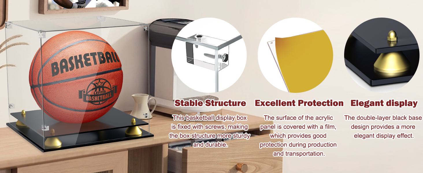 Basketball Display Case
