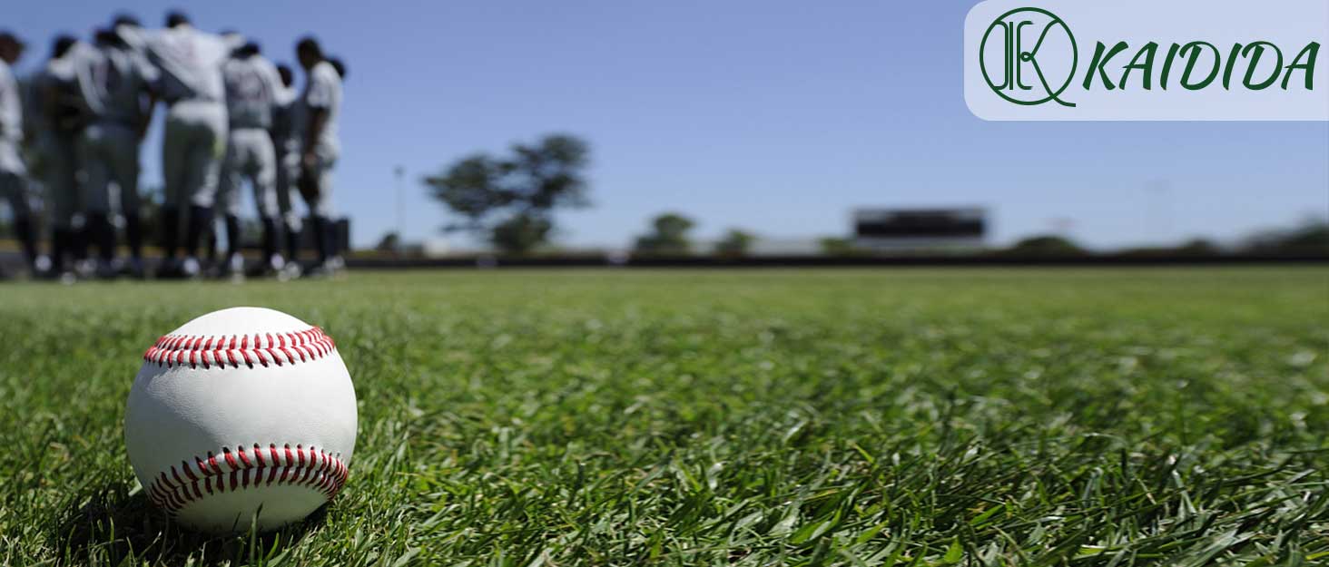 KAIDIDA Pitching Net with Strike Zone, Softball Baseball