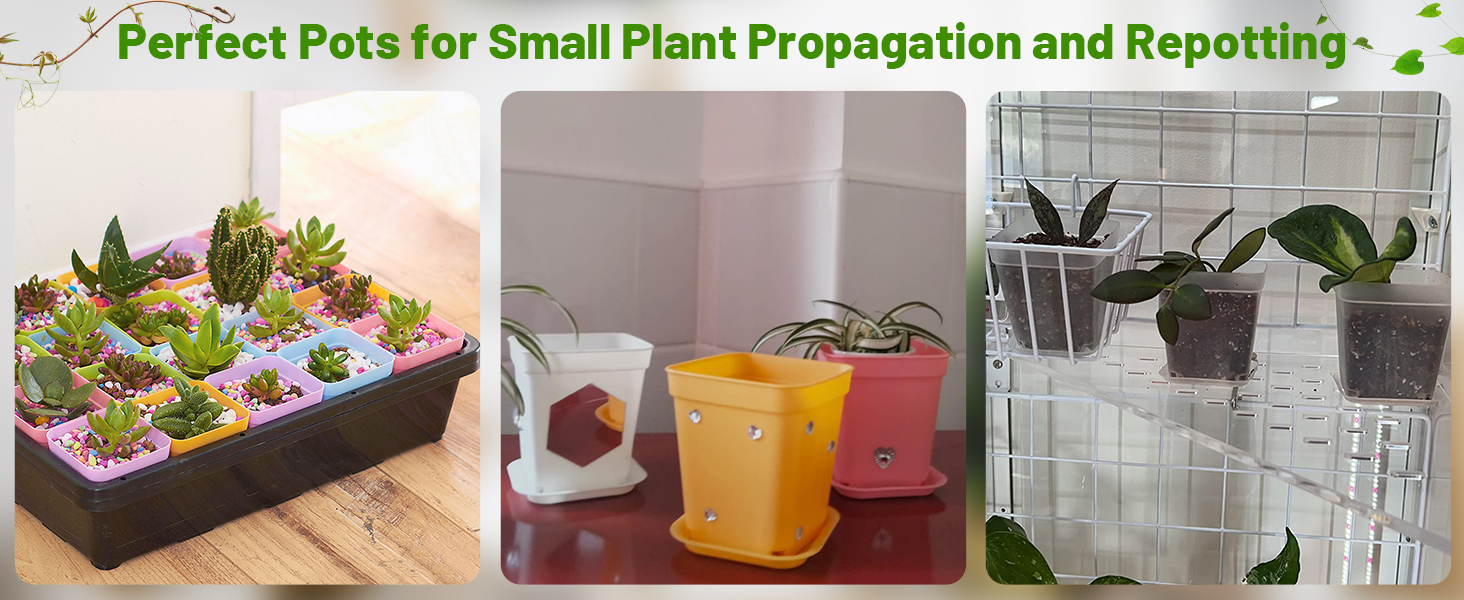 plastic square plant pots