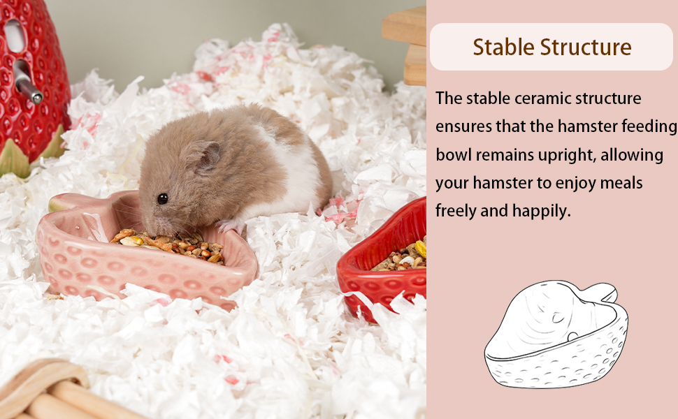 Ceramic Feeding Bowl