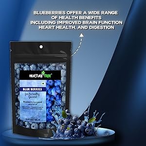 NurtureTree Premium BlueBerries 400gm