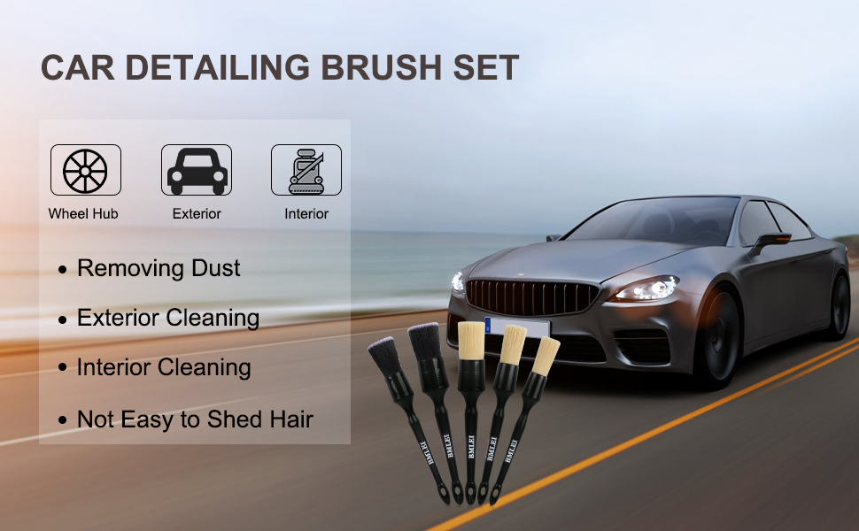 BMLEI 5pcs Car Detailing Brushes Set, Boars Hair Auto Car Detail Brush Kit No