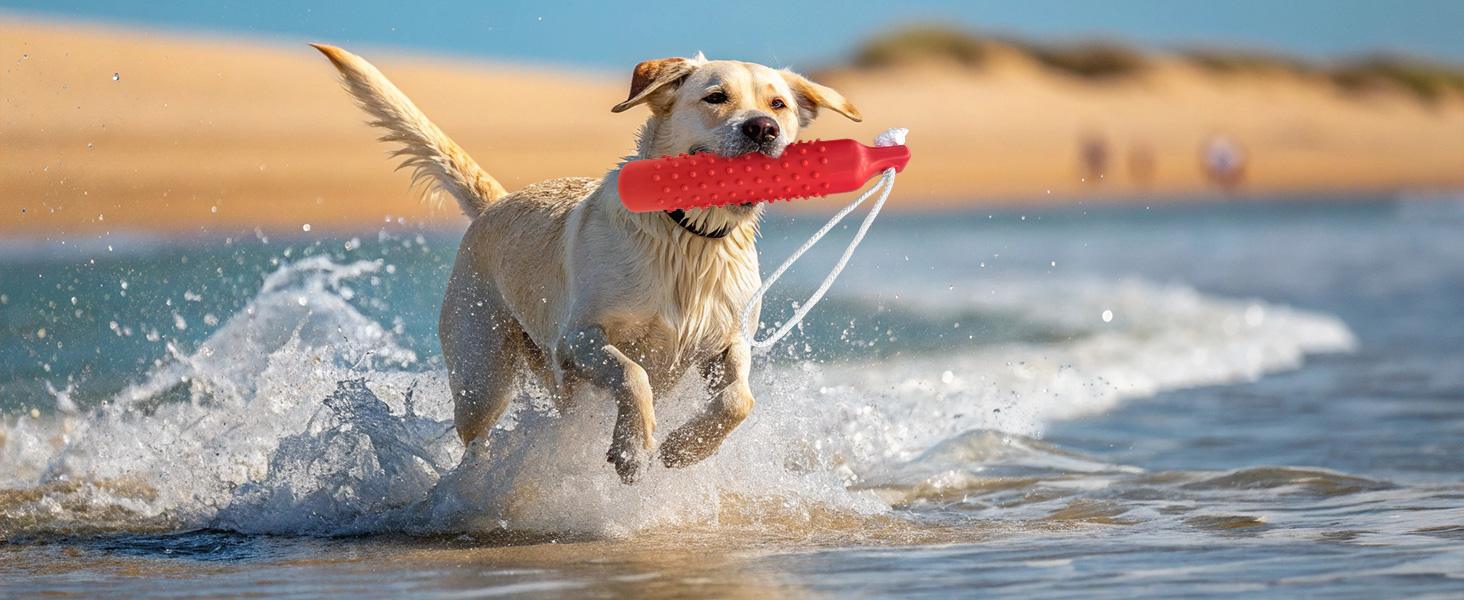 Dog Float Bumper Toy