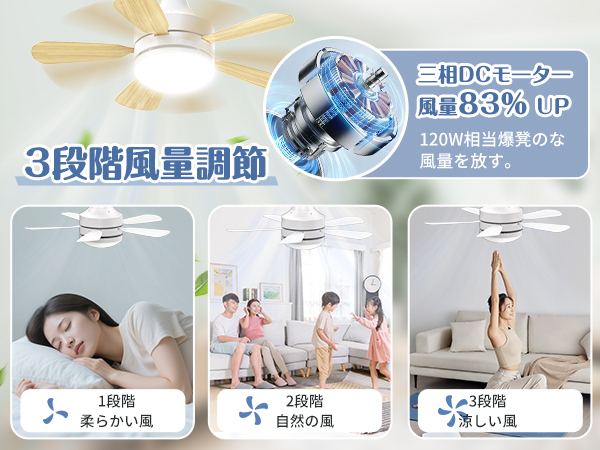 シーリングファンライト