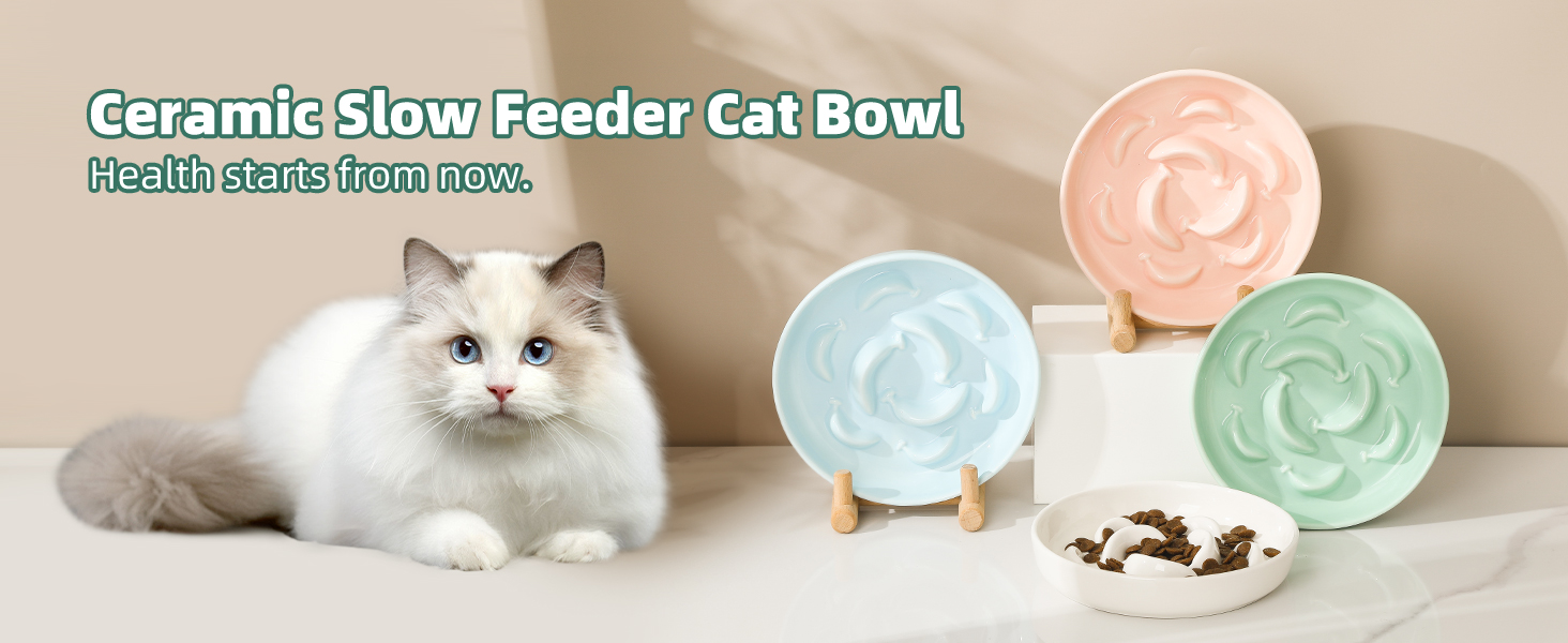Cat Slow Feeder Bowl Bundle Set 2 Pack Ceramic Slow Feeding Cat Bowls Cute Maze