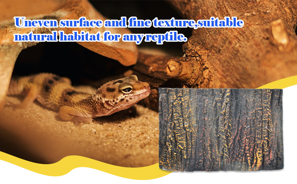 Amphibian Stereo Backdrop Wall Snake Habitat Decor