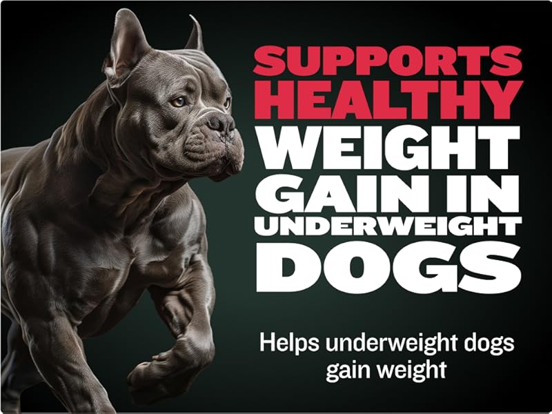 Supports healthy weight gain in underweight dogs