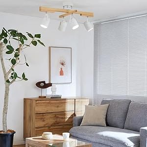 Amazon.co.jp : LOWYA ロウヤ 照明 スポットライト シーリングライト