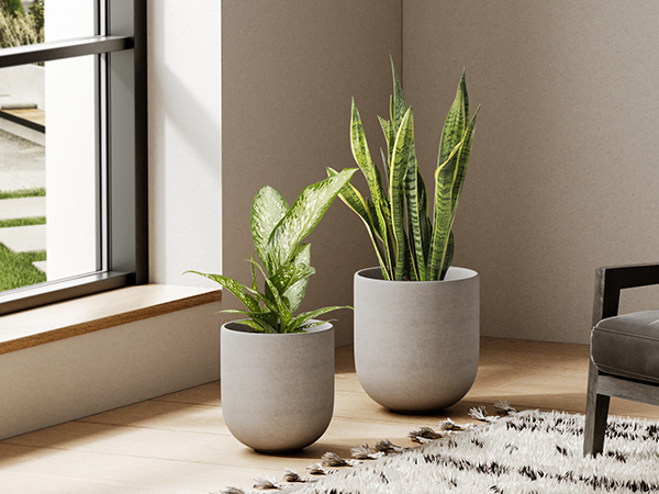 VALIEM willing plant BOWL-Ｌ Amazon.com : LE TAUCI 10 Inch Plant Pot, Ceramic Pots for