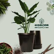 Indoor and outdoor plant pots