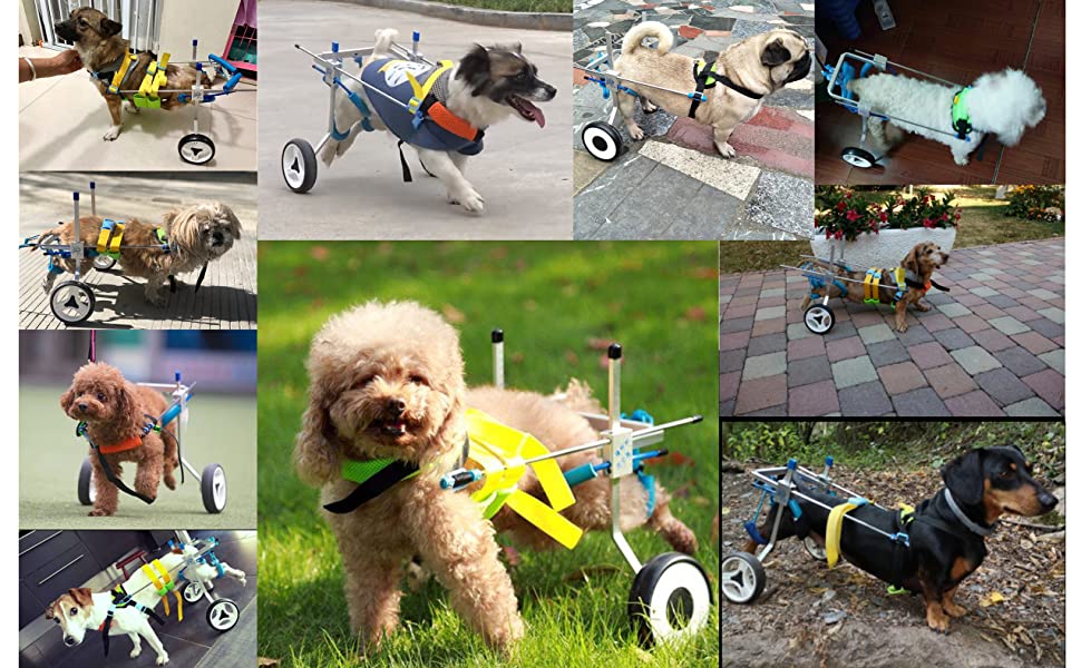 HobeyHove Adjustable Dog Wheelchair, For pet wheelchairs with disabled