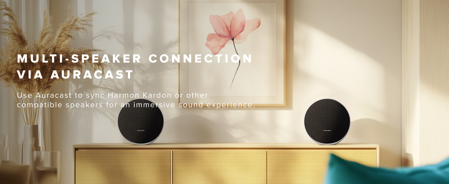 Harman Kardon Onyx Studio 9