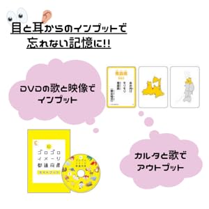 七田式　ゴロゴロイメージ都道府県　世界の国 七田式 ゴロゴロイメージ都道府県 ゴロゴロイメージ世界の国