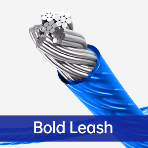 bold leash