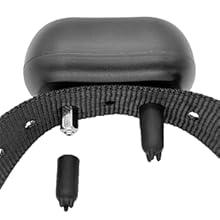 bark collar