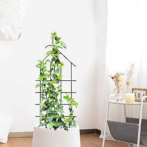 Garden Trellis