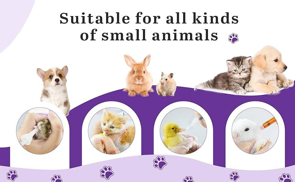 kitten milk replacement