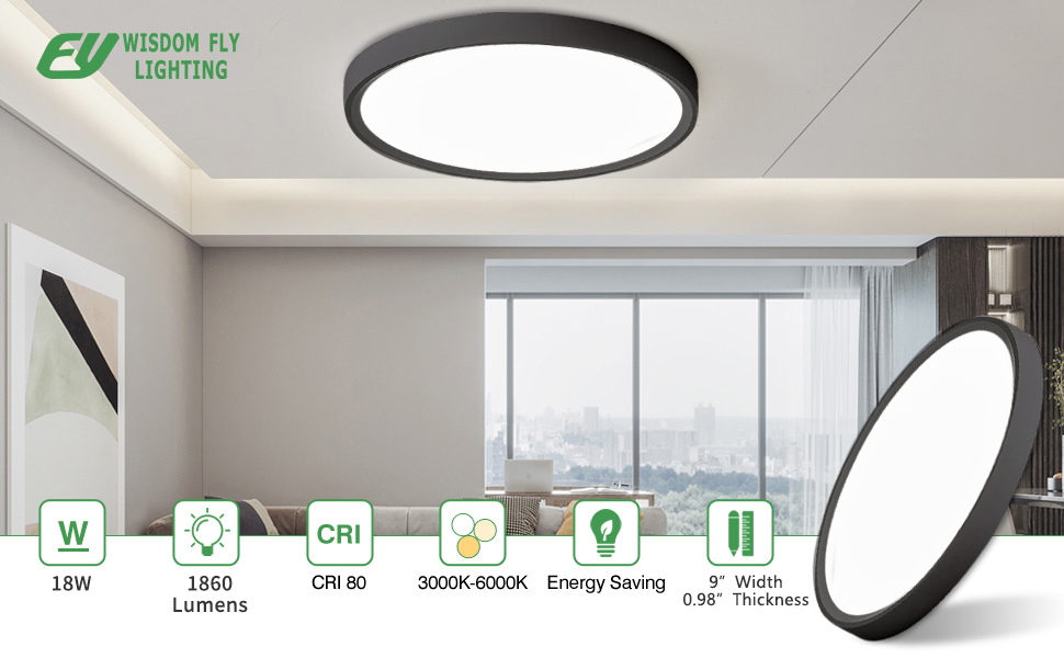 led ceiling light