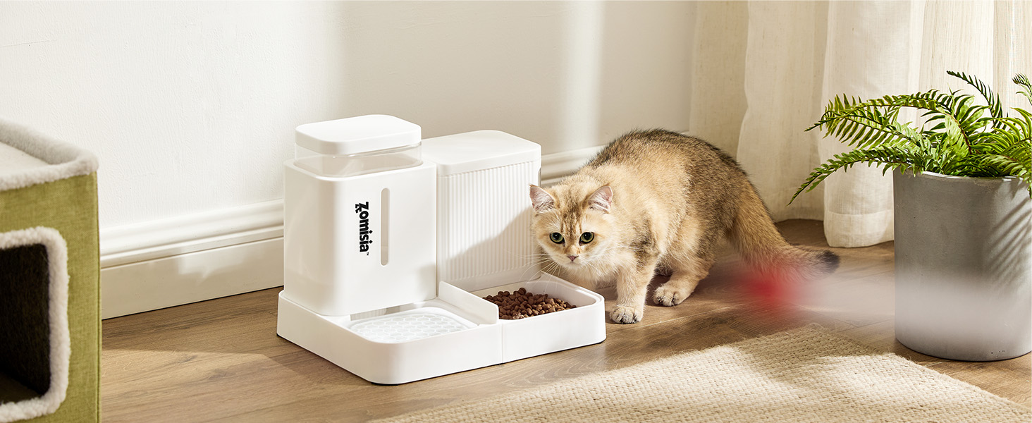 cat feeder