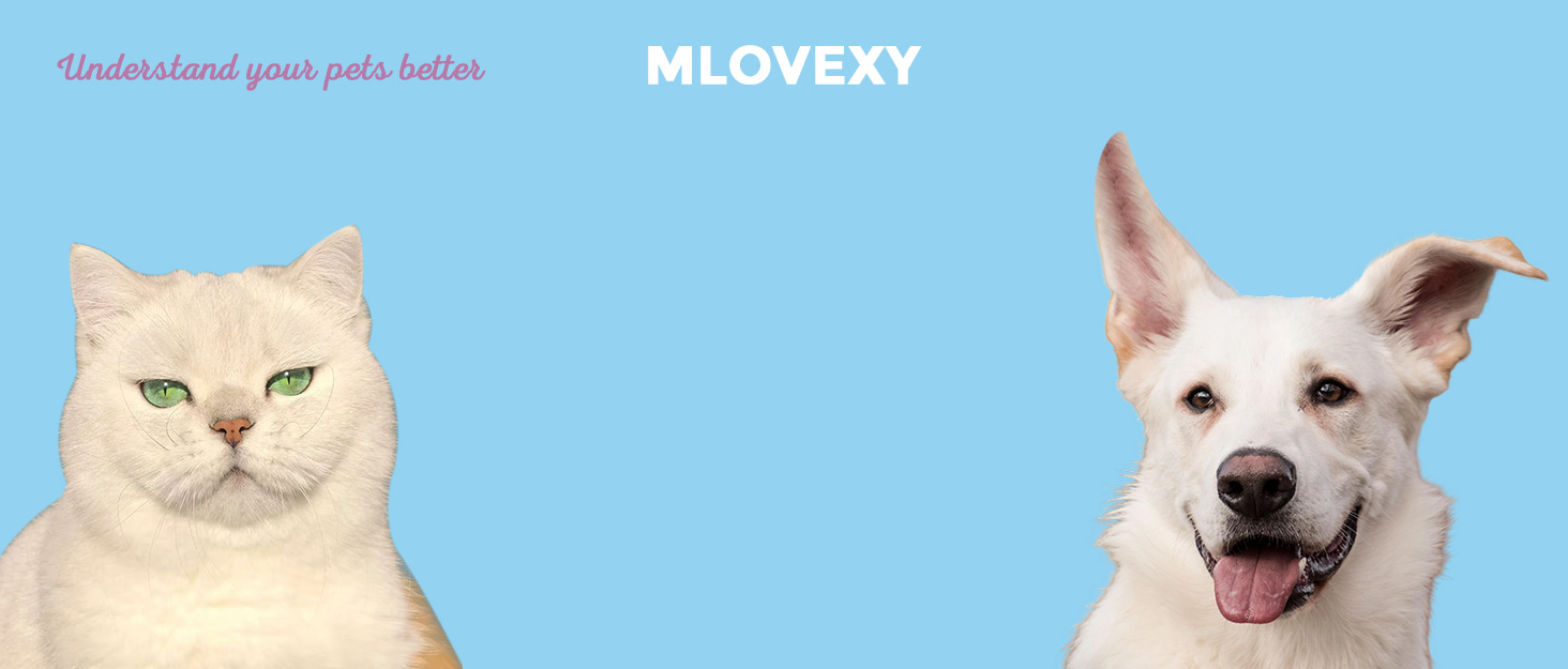 dog Pheromones Calming Diffuser