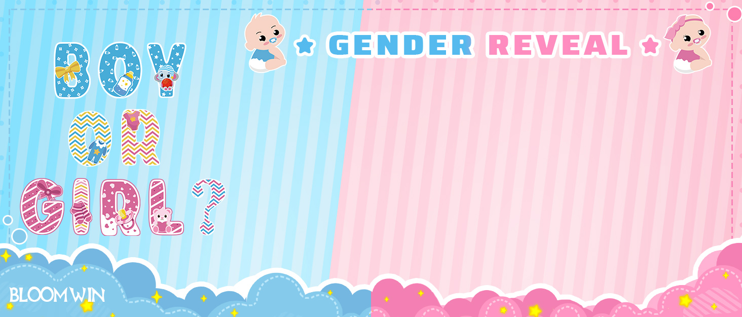 BLOOMWIN Gender Reveal Tic Tac Toe Board Game Gender