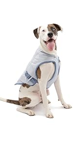 Kurgo Core Cooling Vest for pets