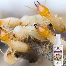 Small manufacture image 6