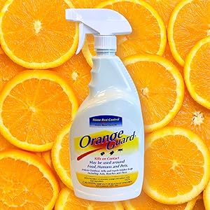 A+ Content_Orange Guard Home Pest Control-03