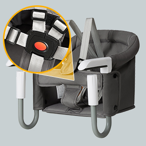 5-point Safety Belt