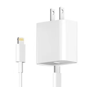 Apple fast charger