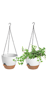 hanging planters for indoor plants