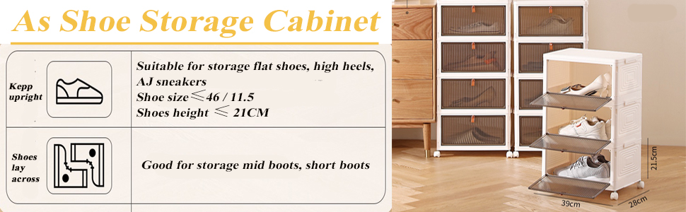 shoer storage cabinet